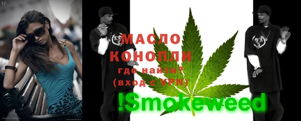 индика Заволжье