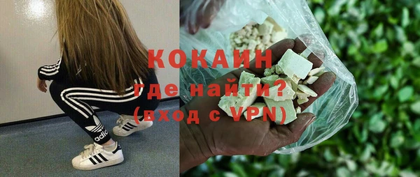 дживик Арсеньев