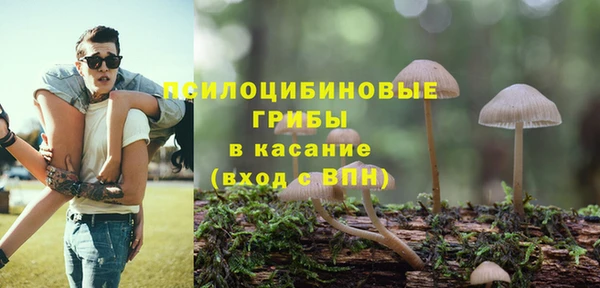 дживик Арсеньев