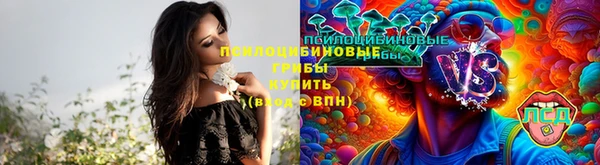 дживик Арсеньев