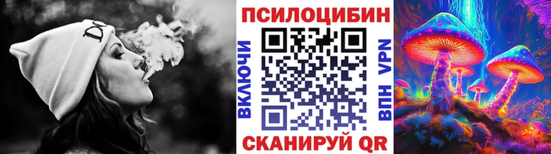 где купить наркотик  Саки  МЕГА ссылка  Галлюциногенные грибы Psilocybine cubensis 
